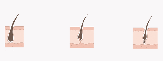 Le cycle naturel de vos cils : ce que personne ne vous explique vraiment - Bloomy Laboratory